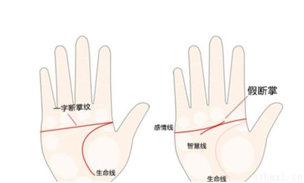 断掌手相的特点是什么 手掌是断掌有何说法