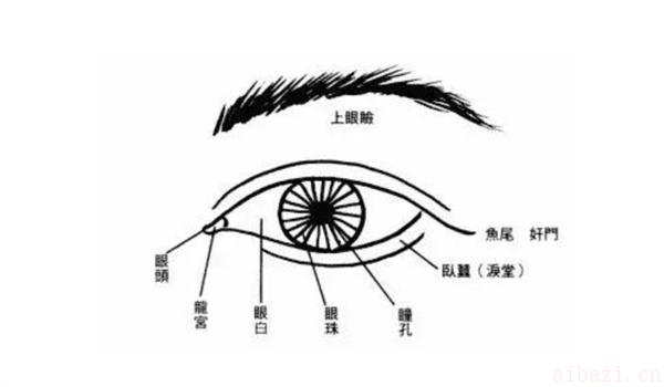 深度剖析眼睛看面相人品 如何从眼睛看面相人品