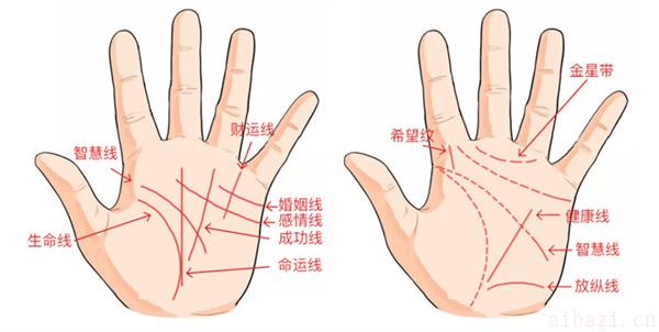 男人看手相是看左手还是右手 男孩的手相怎么看
