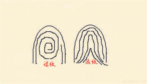 手指螺纹一到十的意义 手上的螺纹个数说明了什么