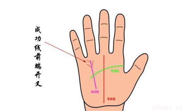 手相成功线的详细解读 手相成功线如何看