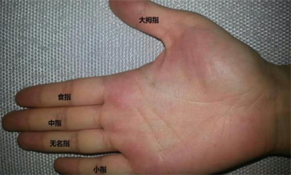 无名指和中指一样长说明什么无名指与中指一样长的手相详解